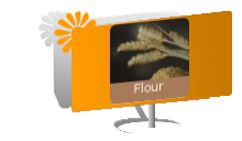 Flour