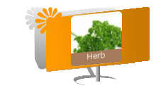 Herb